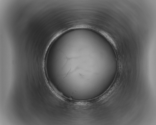 X0000116850805200912291239