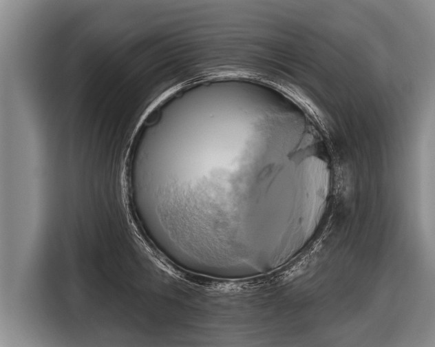 X0000116850806200912291239