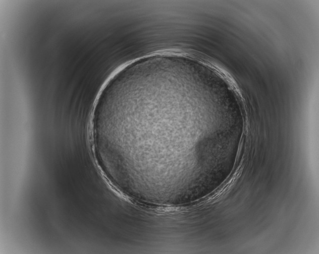 X0000116850808200912291239