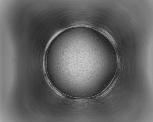 X0000116850812200912291239