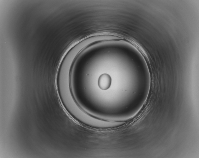 X0000116850813200912291239