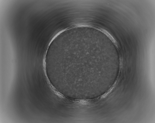 X0000116850814200912291239