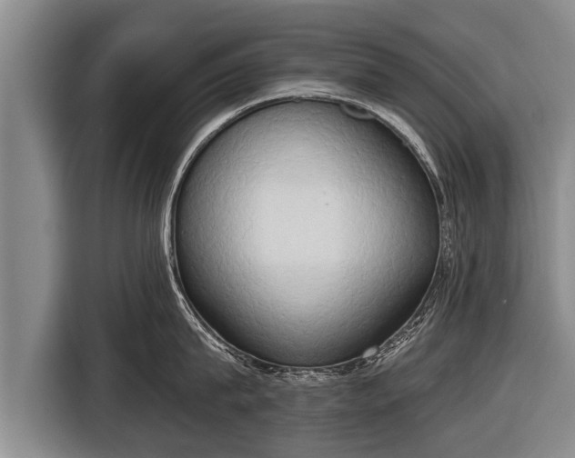 X0000116850815200912291239