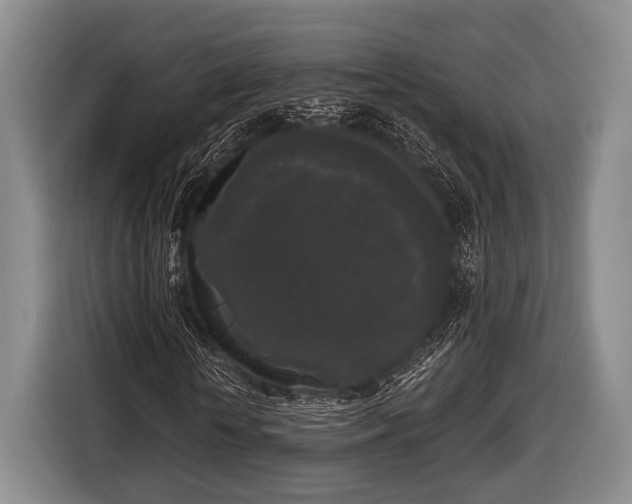 X0000116850818200912291238