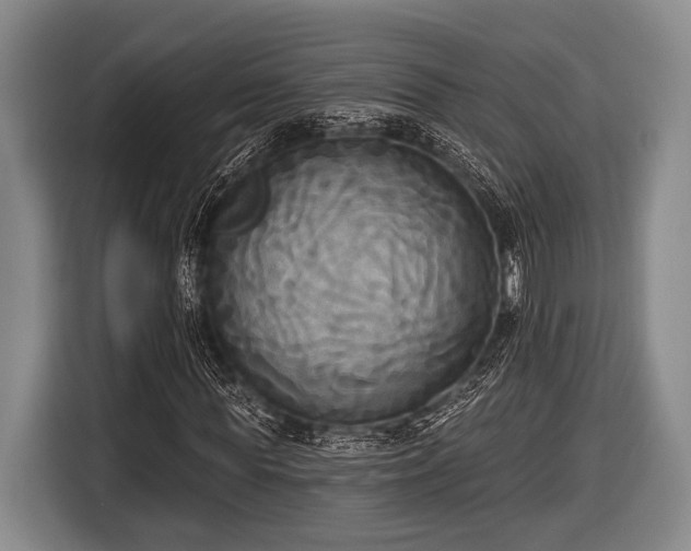 X0000116850819200912291238
