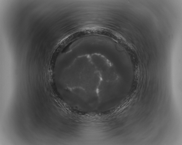 X0000116850822200912291238