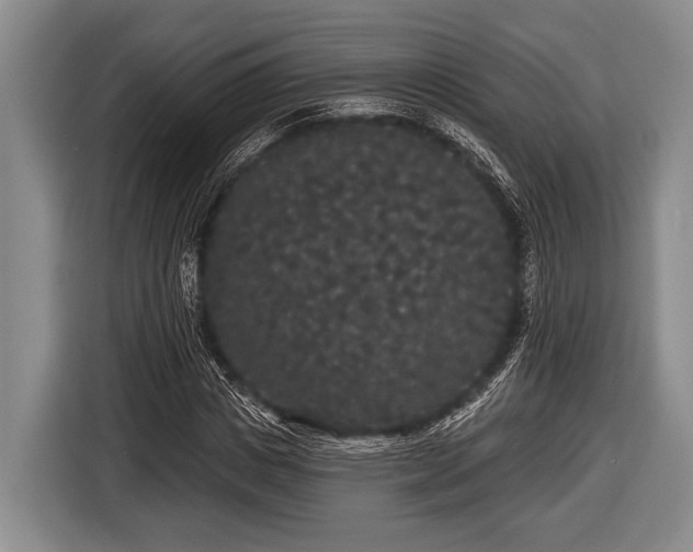 X0000116850825200912291238