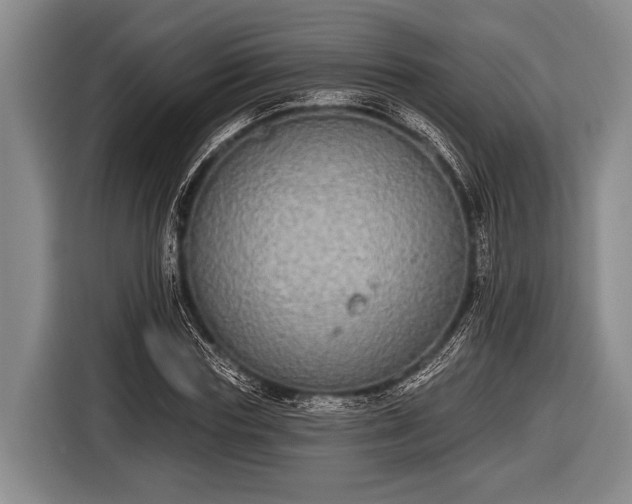 X0000116850827200912291238