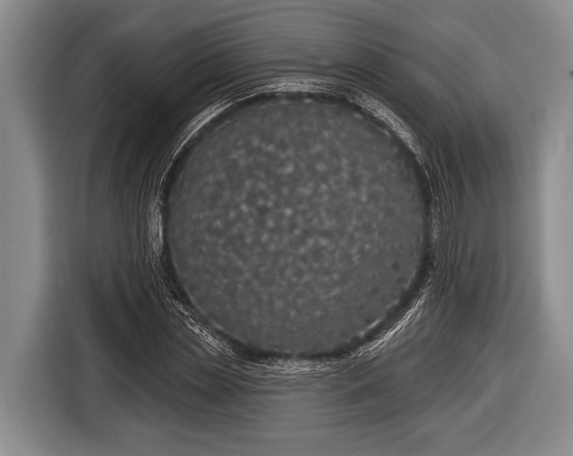 X0000116850829200912291238