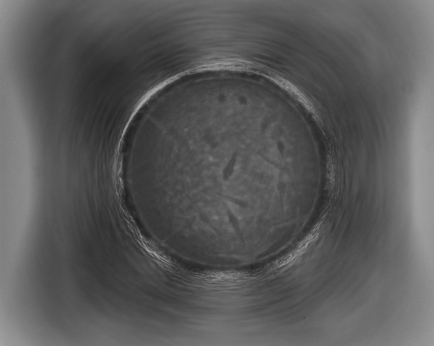 X0000116850830200912291238