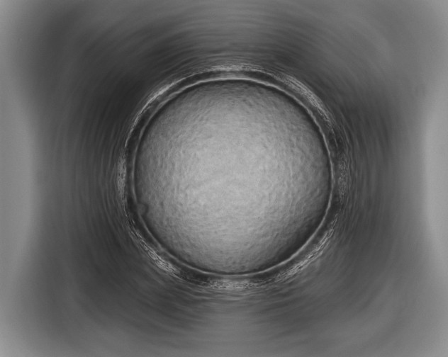 X0000116850831200912291238