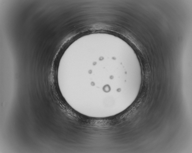 X0000116850832200912291238