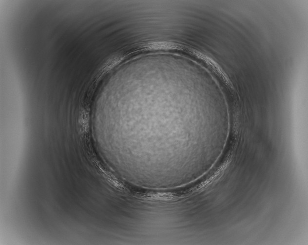 X0000116850833200912291238