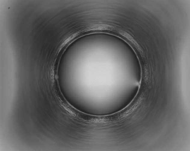 X0000116850834200912291238