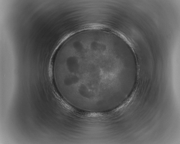 X0000116850835200912291238