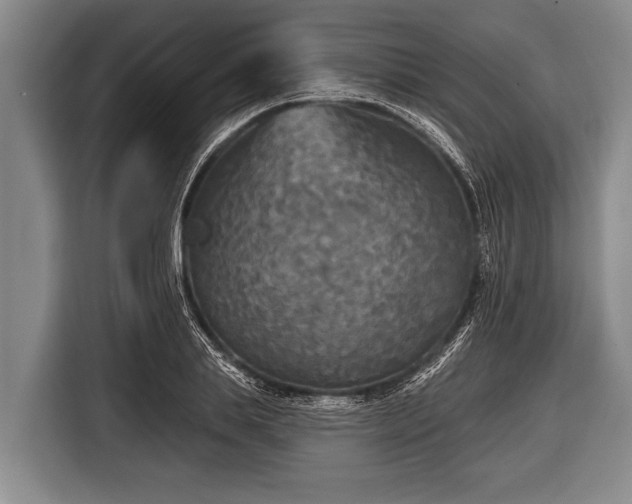 X0000116850839200912291238