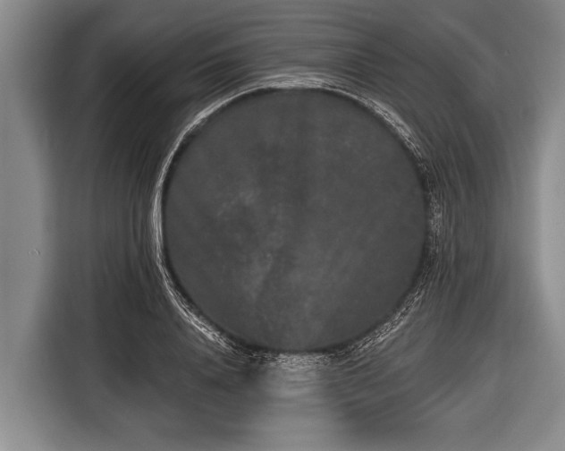 X0000116850840200912291238