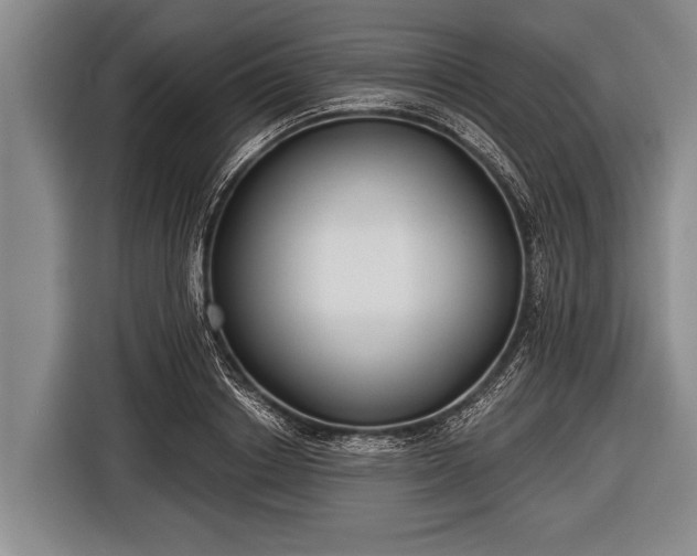 X0000116850842200912291238