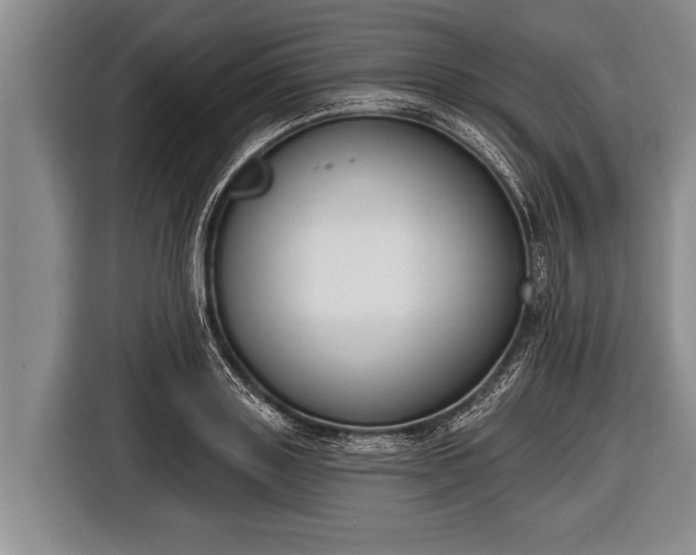 X0000116850843200912291238