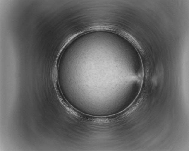 X0000116850844200912291238