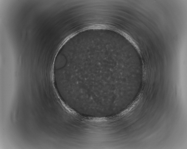 X0000116850845200912291238