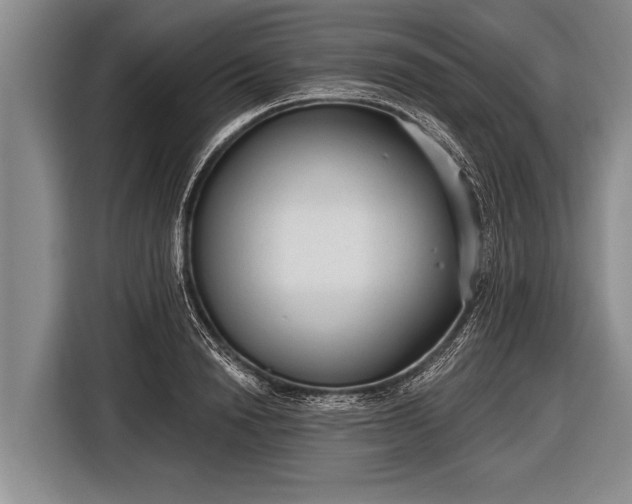 X0000116850846200912291238