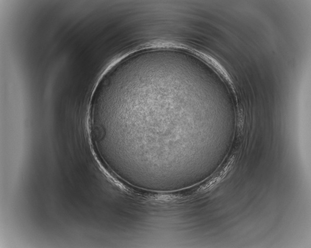 X0000116850847200912291238