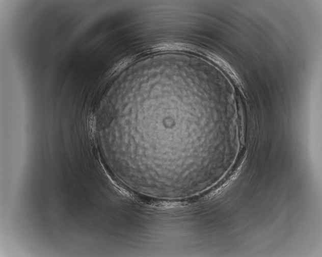 X0000116850849200912291238