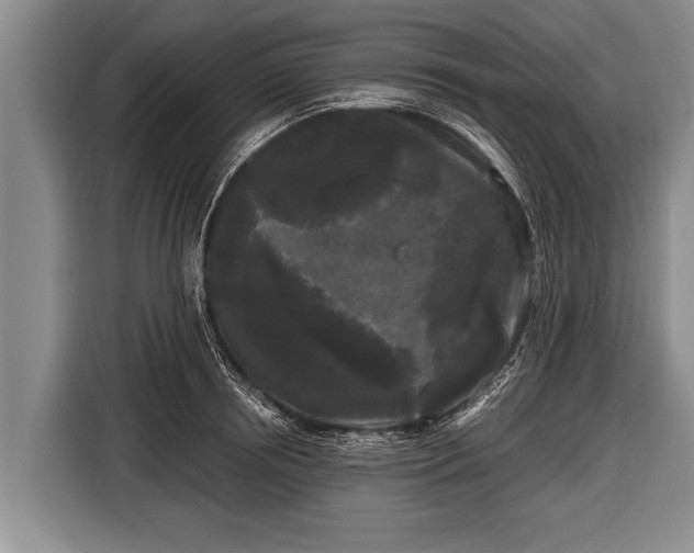X0000116850850200912291238