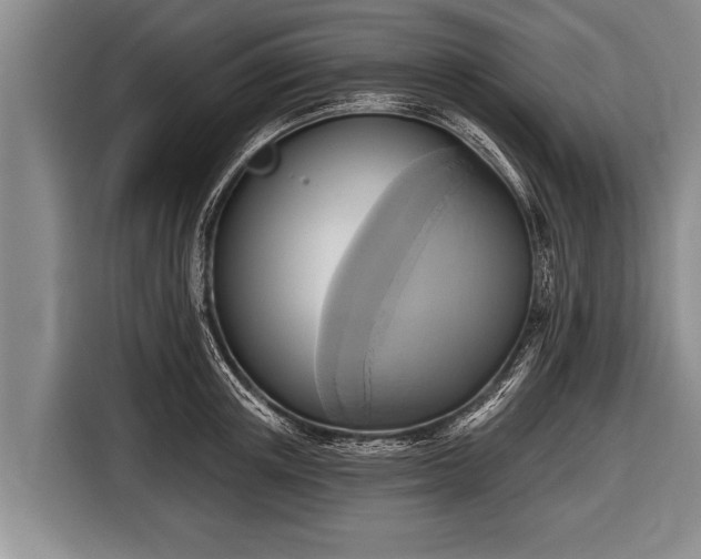 X0000116850851200912291238