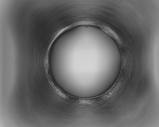 X0000116850852200912291238