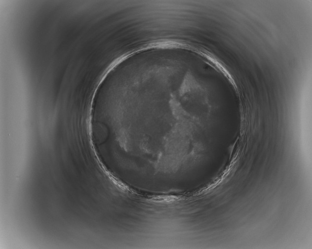 X0000116850853200912291238