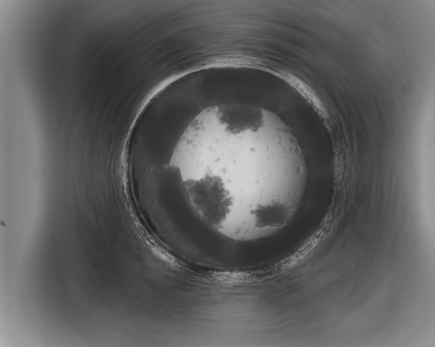 X0000116850854200912291238