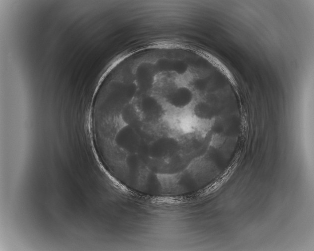 X0000116850855200912291238