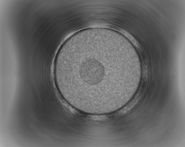 X0000116850856200912291239