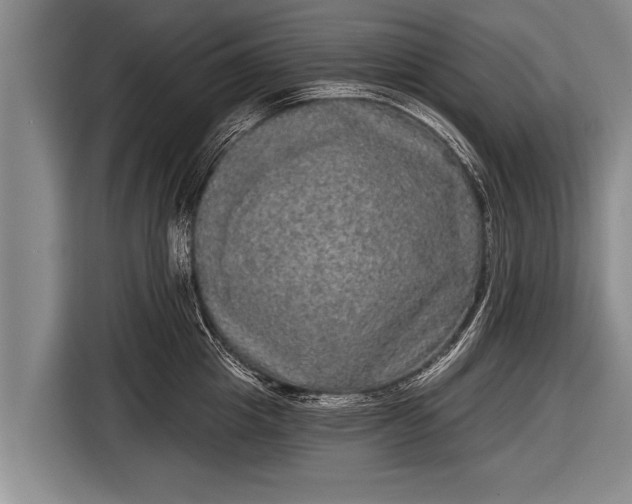X0000116850857200912291239