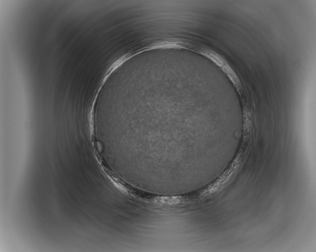 X0000116850858200912291239