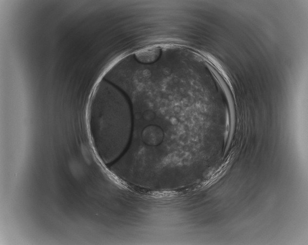 X0000116850859200912291239