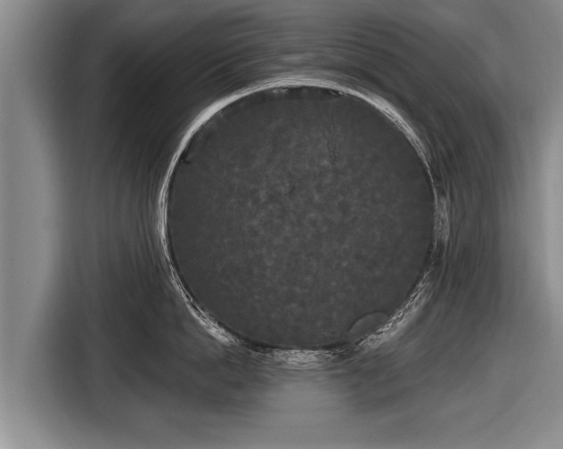 X0000116850862200912291239