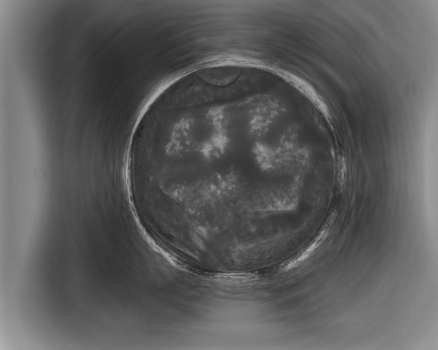 X0000116850863200912291239