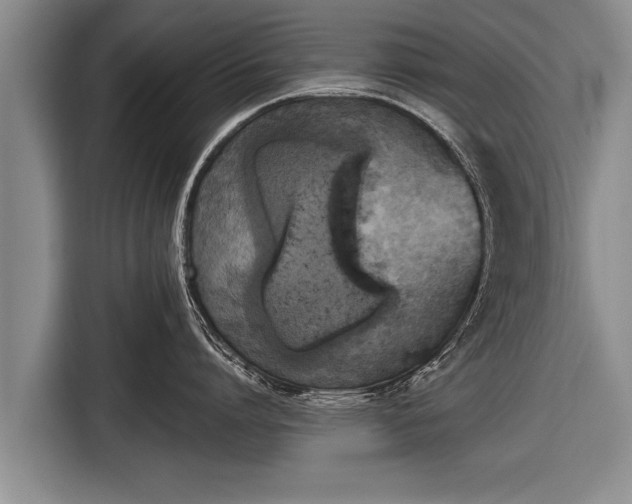 X0000116850864200912291239