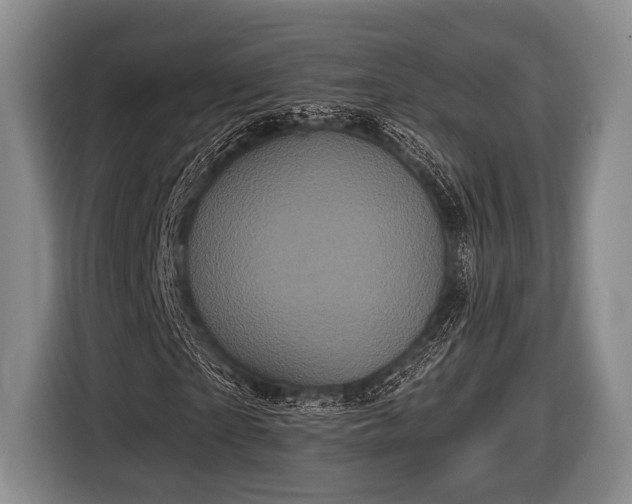 X0000116850865200912291238