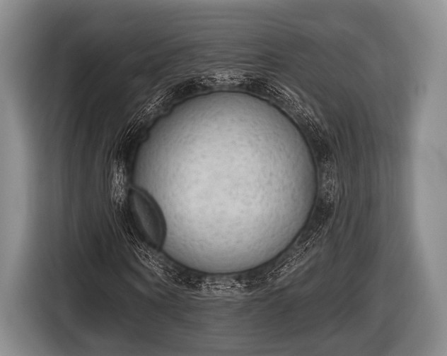 X0000116850866200912291238