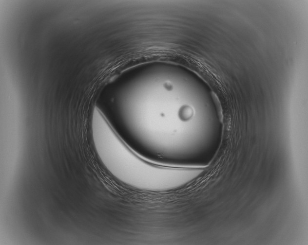 X0000116850868200912291238