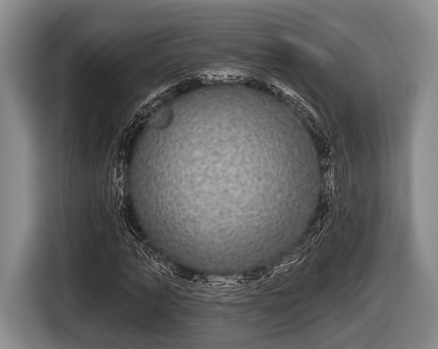 X0000116850870200912291238