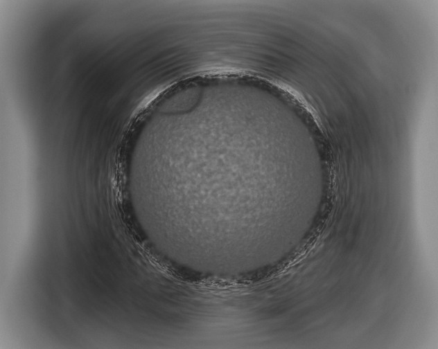 X0000116850871200912291238