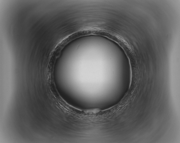 X0000116850872200912291238