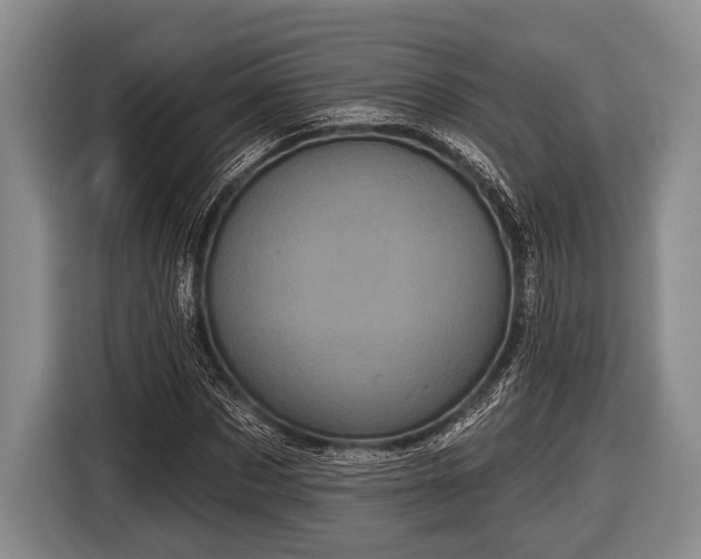 X0000116850873200912291238
