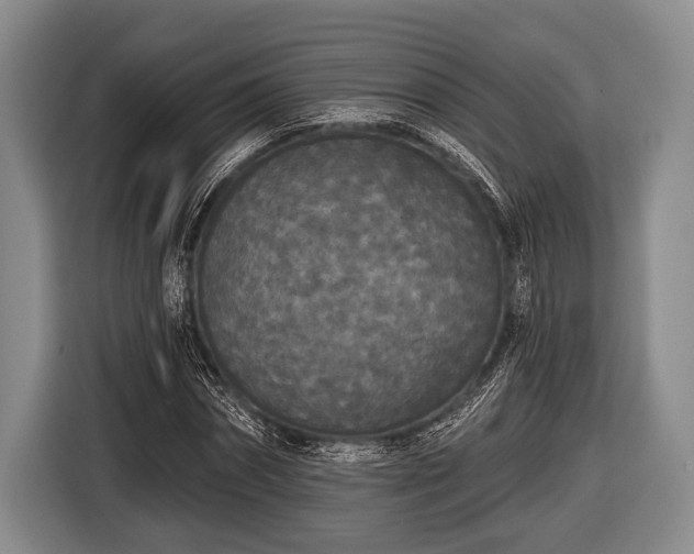 X0000116850874200912291238