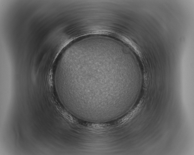 X0000116850875200912291238